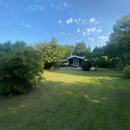 & Forrest House, Liseleje