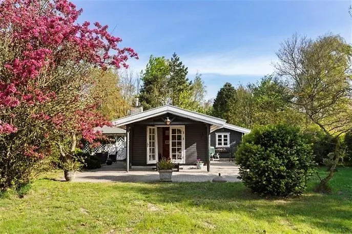 펜션 & Forrest House, Liseleje 후네스테드